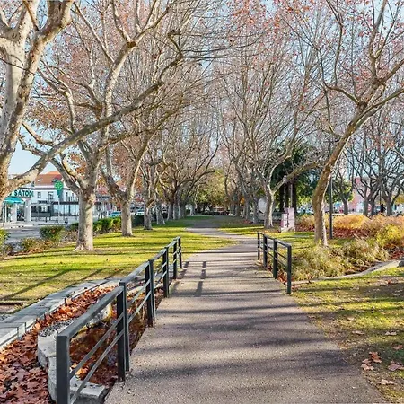 Apartman Dreams - Vista Mar